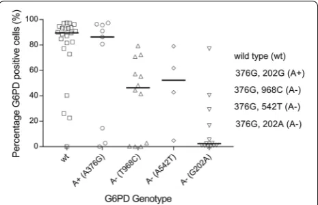 Fig. 3 Percentage G6PD positive cells by flow cytometry by G6PD genotype. The % G6PD positive cells assessed by FACS was plotted against G6PD genotype generated by magnetic bead-based multiplex assay and KASP assay; wild type (wt, 202G and 376A), A+ (202G 