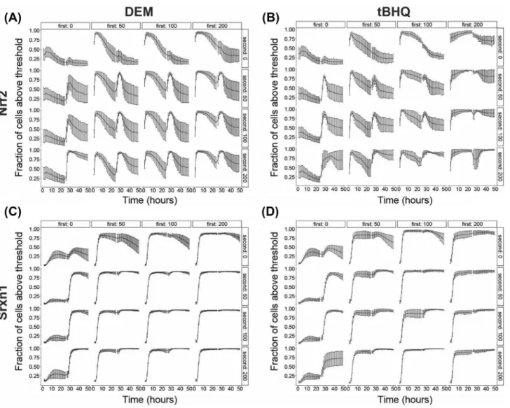 Fig. 5    Commitment of individual cells into the Nrf2 and Srxn1  response during long repeat exposure scenario