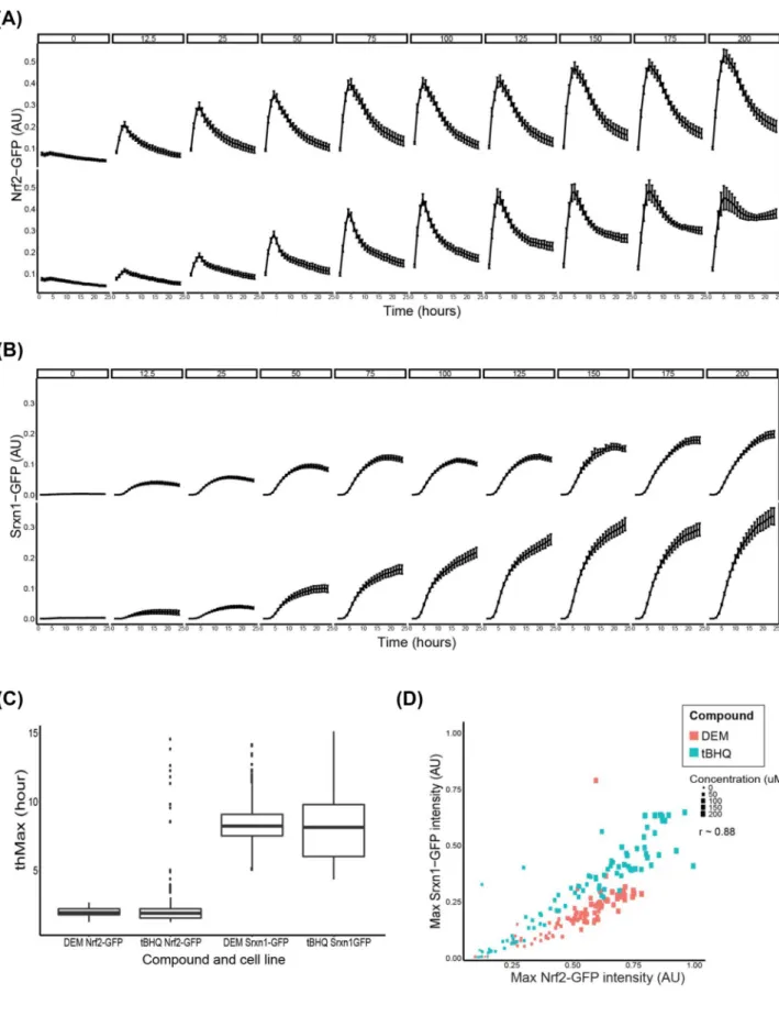 Fig. 2    Time–response curves of Nrf2 and Srxn1 activation during  24 h exposure to DEM or tBHQ in a dose range of 12.5–200 µM