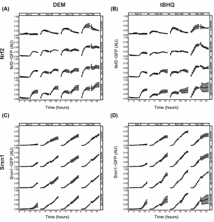 Fig. 3    Time–response curves of Nrf2 and Srxn1 activation for short  repeat exposure scenario (8 h + 8 h)