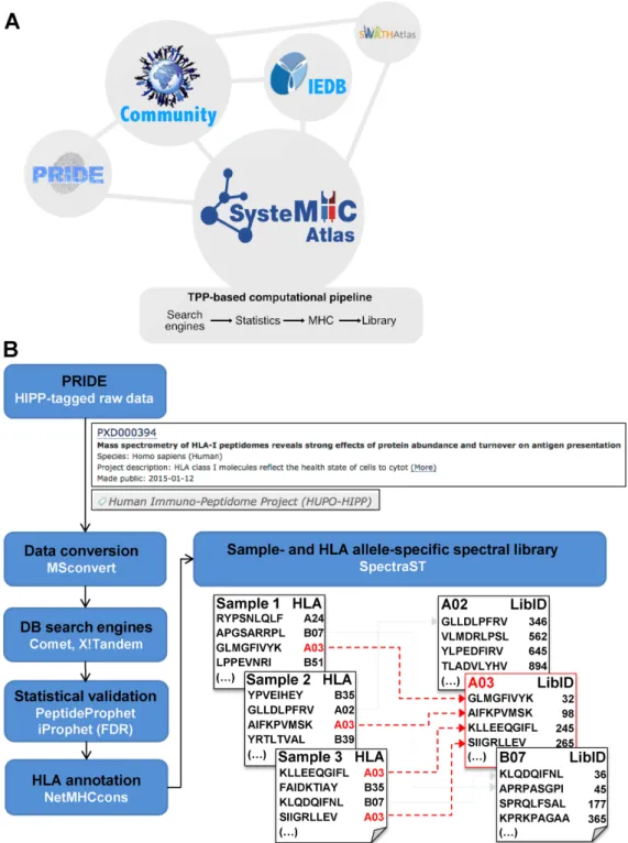Figure 1. Overview of the SysteMHC Atlas project. (A) The SysteMHC Atlas aims to be a long-term data-driven project that serves the community.