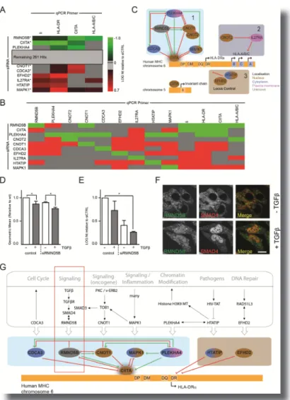 Figure 3 | MHC-II Transcription Control Networks and higher Order Control 