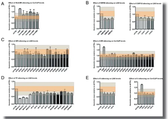 Figure S1 | Deconvolution of Genes known to affect the MHC Class II Pathway. Relates to Figure 2 (Chapter 1) This figure explains the absence of genes known to be involved in the MHC class II pathway from our candidate  list