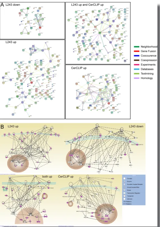 Figure  S2  |  Pathway  Analysis  of  Targets  grouped  according  to  the  Effects  observed  in  the  Primary  Screen