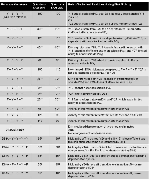 Table 3.5. Contribution of Individual Tyrosine and Aspartic Acid Residues to DNA Nicking  A summary of the DNA nicking activity of each tyrosine and aspartic acid mutant relaxase construct  is provided for two substrates (FAM-35/7oriT-hairpin and FAM-20/7o