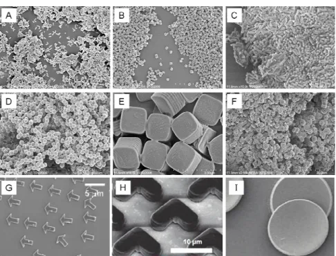 Figure 2.1 A variety of sizes and shapes generated using the PRINT process (A) 80nm x  360nm cylinders, (B) 200nm x 200nm cylinders, (C) 200nm x 600nm cylinders, (D) 1  µm sphere approximates, (E) 2 µm cubes with ridges on the sides, (F) 3 µm particles wit