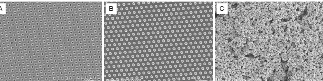 Figure 2.11 An SEM image of the (A) the empty mold after particles are removed, (B)  the array of particles transferred out of the mold onto a substrate, and (C) collected free 