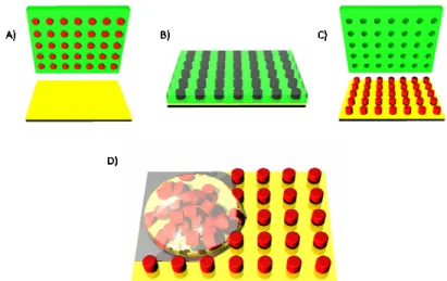 Figure 2.13 PVOH harvesting: (A) the mold is placed in contact with a solid substrate  coated with PVOH, (B) the mold and coated substrate are heated while in contact  adhering the particles to the substrate, (C) when the mold is peeled back the particles 