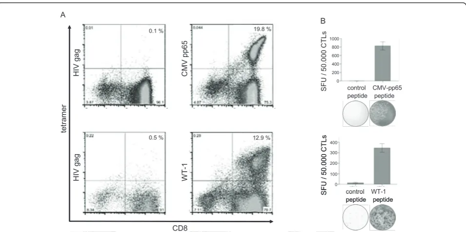 Figure 6 Induction of CMVpp65 and WT-1 specific T-cell response with peptide loaded 3-day DCs
