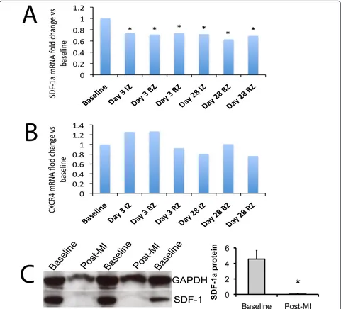 Figure 1 SDF-1a expression in the murine heartfollowing myocardial infarction. This occurs early, and remains suppressed for 28 days