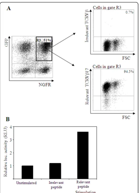 Table 1 TCR CDR3 region of the HPV16E6 specific CD4+ T cell clone 24.101