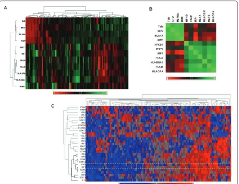 Figure 1 Transcriptional profiling of 114 melanoma metastases; A) self organizing heat map displaying selected IRF-1 relatedtranscripts together with the expression of MITF and melanoma differentiation antigens