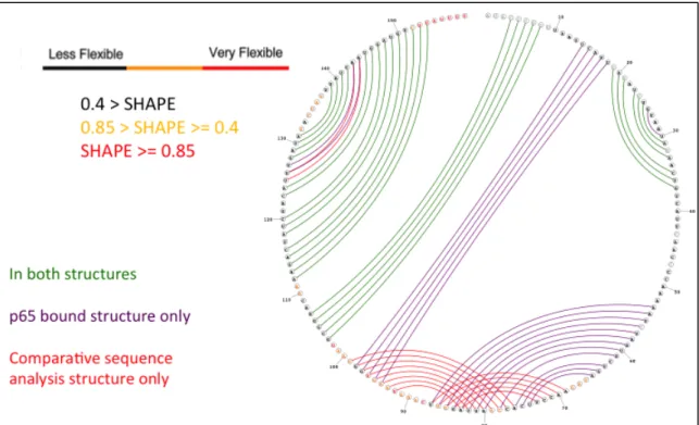 Table	  3.1	  describes	  the	  accuracy	  of	  secondary	  structural	  predictions	  