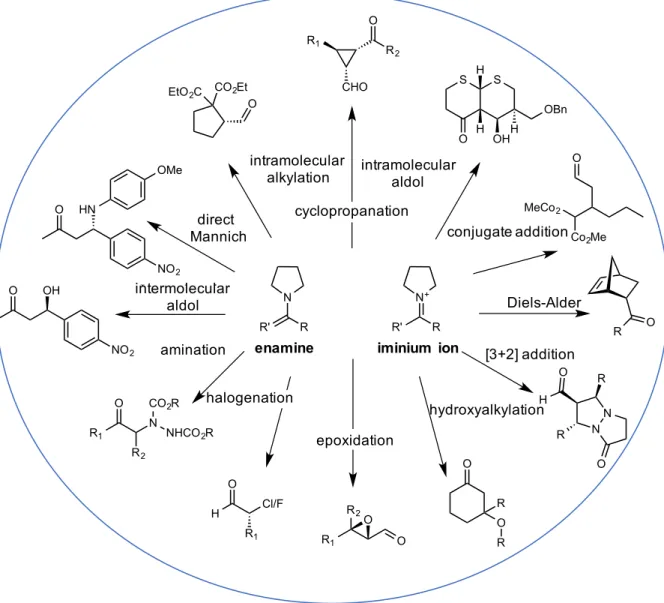 Figure 2.2 Versatility of proline as enamine and iminium ion organocatalyst 