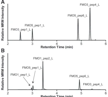 Fig. 3. Effects of trypsin digestion time and HLM protein loading on the UPLC-MRM signals of FMO signature peptides derived from pooled HLM