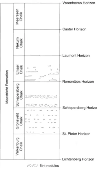 Figure 2. Schematic lithological section of the Maastricht Formation  in the Valkenburg region (after Felder et al