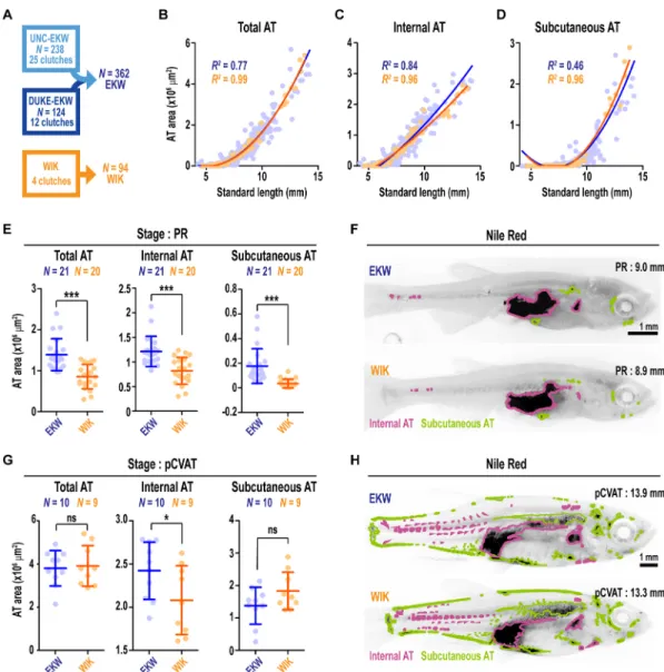 Fig. S5A). We confirmed PVAT localization to the exocrine pancreas using the ptf1a:eGFP transgenic line (Fig