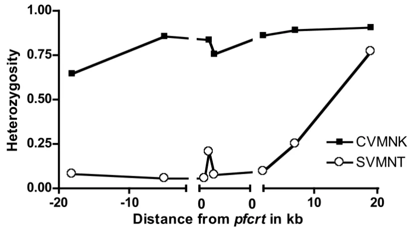 Table 3: Fst values to measure genetic diversity between groups of pfcrt-SVMNT samples from post-1995 collections
