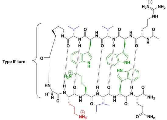 Figure  2.1  Anti-parallel  β-hairpin  peptide  design  features.  Highlighted  in  green  are  residues participating in noncovalent sidechain interactions, in blue are residues with high  β-sheet  propensity,  and  the  residue  in  red  is  the  non-can