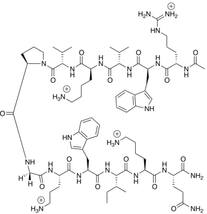 Figure 2.2 Structure of the WKWK pGturnβ-hairpin peptide. 13c