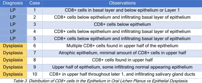 Table 3. Distribution of CD8+ cells in the Epithelium in Oral Lichen Planus vs Epithelial Dysplasia
