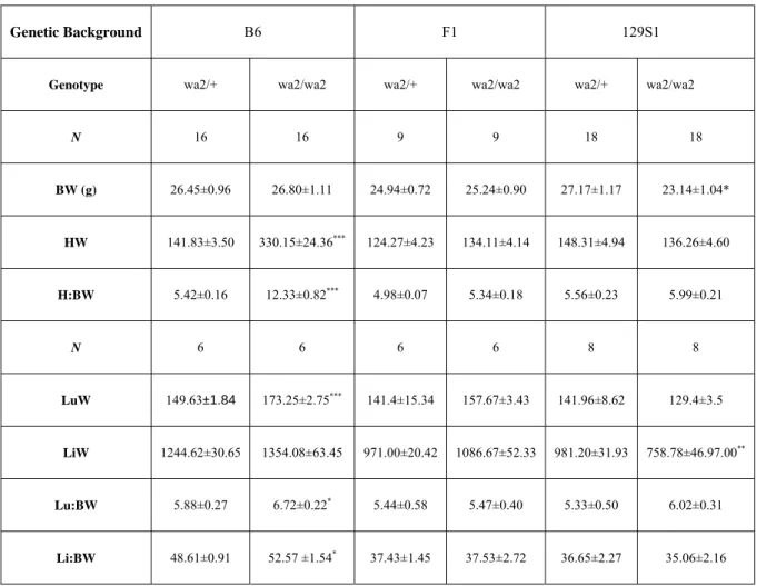 Table 3-1. Organ weights from three-to five month old Egfr  wa2  littermates. Comparison by  genotype *p<0.05, **p<0.01,***p<0.001