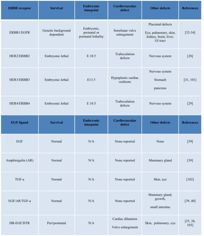 Table 1-1. Phenotypes resulting from genetic ablation of ERBB receptors, ERBB ligands or  ligand processing enzymes