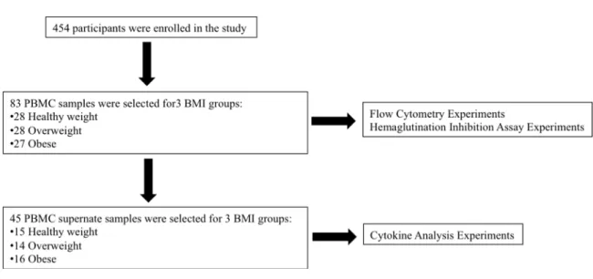Table 4.1 D Study Overview 