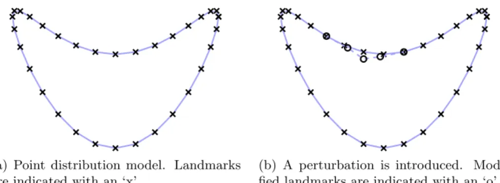 Figure 2.7: A point distribution model for a shape similar to the implicitly described object shown in Figure 2.5 is given in Figure 2.7(a)
