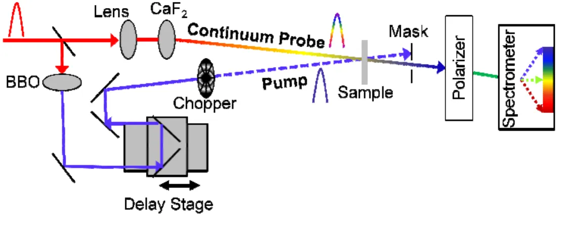 Figure 3.5: Experimental diagram for the  The first travels through a translating CaF