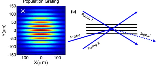Figure 3.7: Depiction of the Transient Grating. a) The population grating formed by the 410 nm pump  pulses at their focus in the molecular sample, where X and Y are dimensions in the laboratory frame