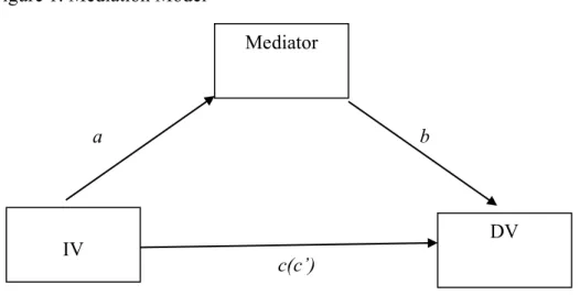 Figure 1: Mediation Model 