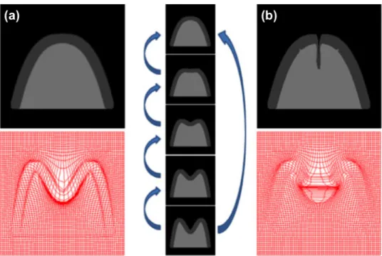 Figure 2.3: The direct registration of the subject leads to a failure in (b), while the subject essentially locates the correct deformation pathway with the guidance from the intermediate images in (b).