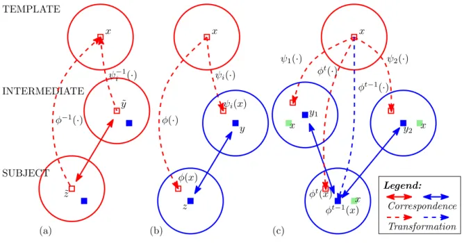 Figure 2.5: Illustration of the predictability of the deformation: (a) The correspon- correspon-dence between the template point x and the subject point ˜ z is established as both points identify ˜ y as their correspondence in the intermediate image; (b) T
