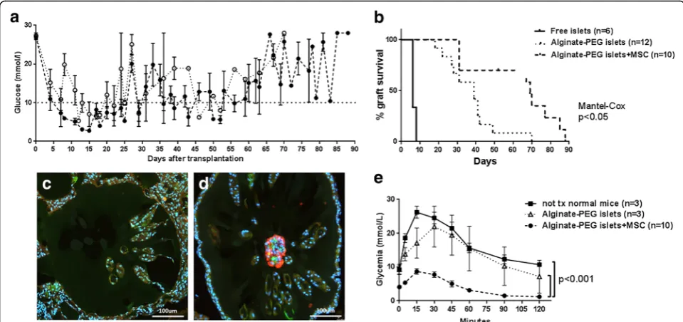Fig. 6 Islet survival and function in diabetic mice. Islets (4.5 × 10were transplanted with free islets (injection of glucose (2 g/kg) performed at time 0 and glucose monitored at 0, 5, 10, 15, 30, 45, 60, and 120 min thereafter
