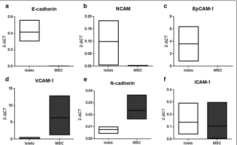 Fig. 3 Gene expression of adhesion molecules in islets and MSC. Quantitative RT-PCR was performed to assess adhesion molecule expression andadhesion molecule (NCAM) ((white boxes) and MSC (black boxes) after a 3-day culture period
