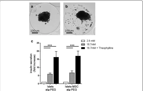 Fig. 5 Microencapsulated islets maintain regulated insulin secretion. a, b Phase contrast images of Alg-PEG microencapsulated islets (104 IEQ/mlAlg-PEG) (a) and islets coencapsulated with 8 × 105 MSC (b)