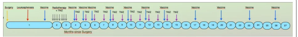 Fig. 1 Treatment schedule. All patients were scheduled to receive conventional radio‑chemotherapy with up to 12 cycles of adjuvant temozolo‑mide or until disease progression