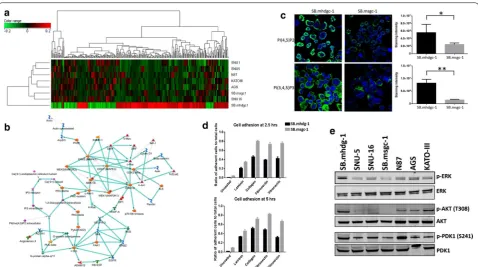 Fig. 3 c.1380delA CDH1 SB.mhdgc‑1 harbors select transcriptomic alterations compared to sporadic gastric cancer cells