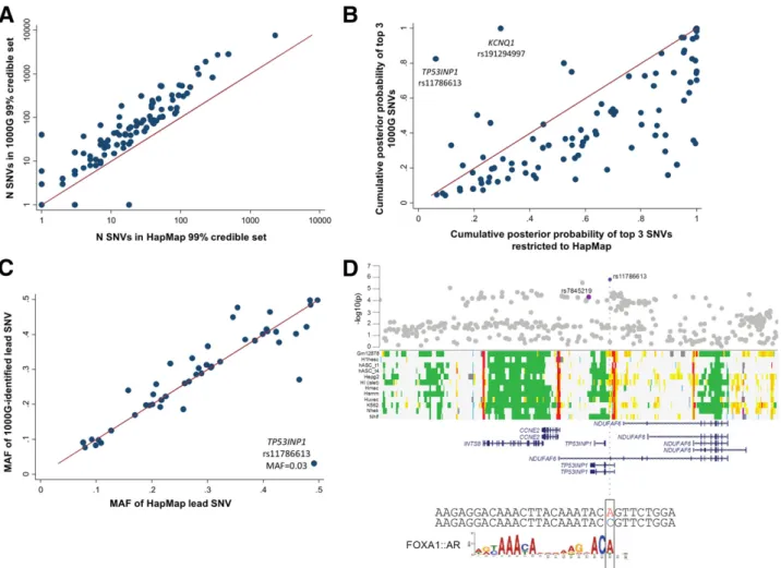Figure 2 —A: The number (N) of SNVs included in 99% credible sets when performed on all SNVs compared with when analyses were restricted to those SNVs present in HapMap