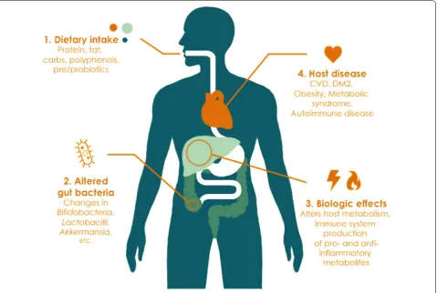 Fig. 1 Impact of diet on the gut microbiome and human health