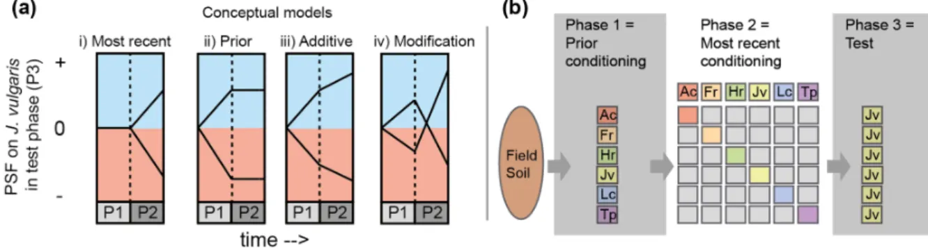Figure 1. Conceptual models of sequential PSF (a) and a flowchart of the experimental design used to test them (b)