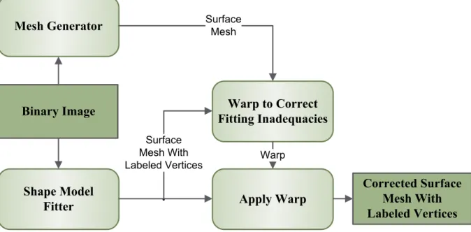 Figure 1.2: An overview of the method that generates labeled meshes from binary images.