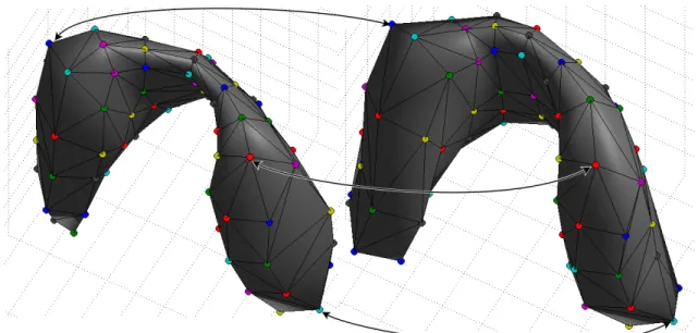 Figure 3.3: Correspondence between points on the surface of two different thyroids.