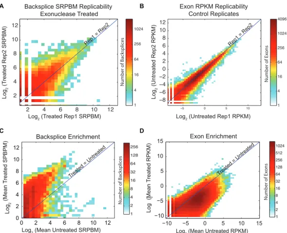 Figure  8:  CircleSeq  enriches  for  backsplice  junctions.        Two  dimensional  histograms showing normalized backspliced read count (SRPBM) or normalized  exon  coverage  (RPKM)  between  two  samples  or  replicates