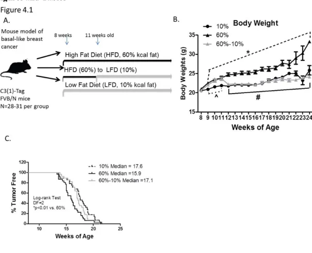 Figure 4.1. Weight loss protected against HFD-mediated early BBC onset. A. 