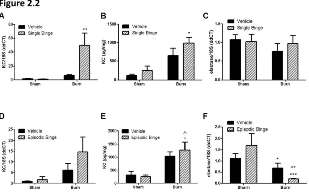 Figure 2.2. Adipose expression of neutrophil chemokine KC after single and  episodic binge ethanol and burn injury