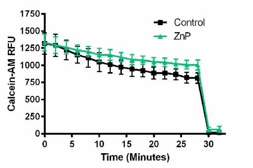 Figure 5: Zinc Pyrithione Does Not Induce Cytotoxicity. Cells loaded with the fluorescent compound  calcein-AM were analyzed by confocal live cell imaging