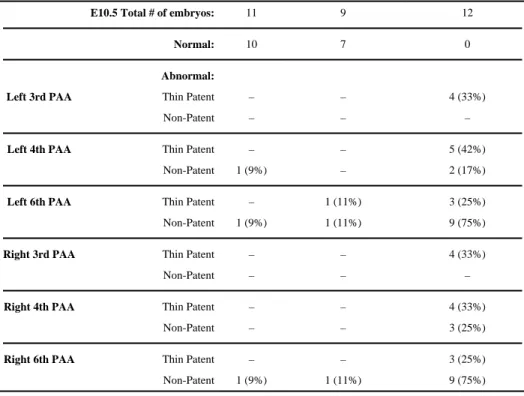 Table 2 Summary of India ink injections