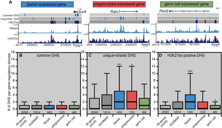 Fig. 3. Enrichment of DHSs near Sertoli and pregranulosa cell-expressed genes. (A) Using GREAT (McLean et al., 2010) each gene was assigned a gene- gene-regulatory domain extending to the nearest 3 ′ and 5′ gene, but not overlapping the proximal promoter o